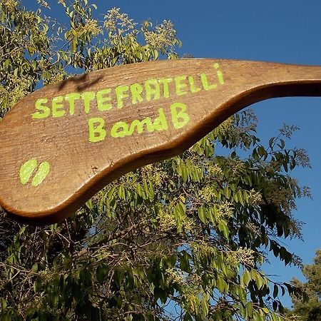B&B Sette Fratelli San Gregorio  Buitenkant foto