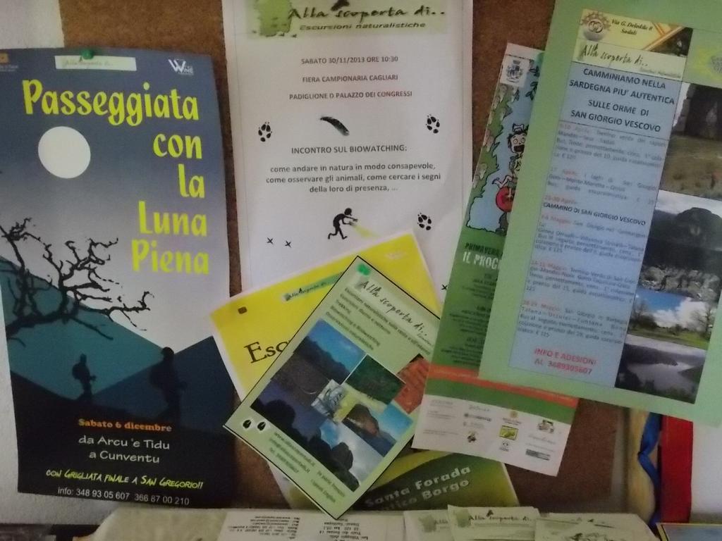 B&B Sette Fratelli San Gregorio  Buitenkant foto