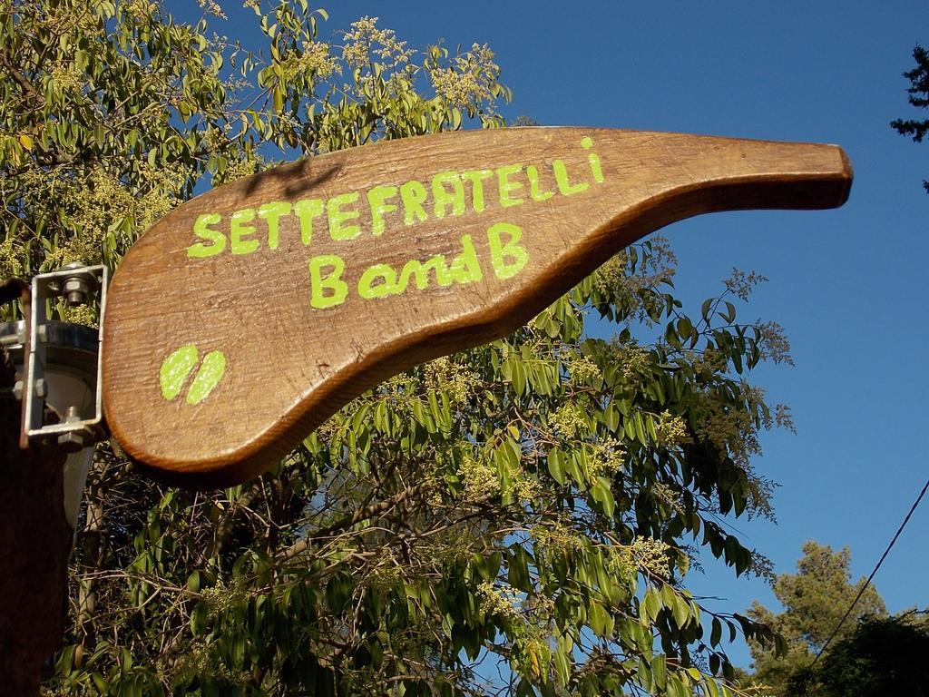 B&B Sette Fratelli San Gregorio  Buitenkant foto