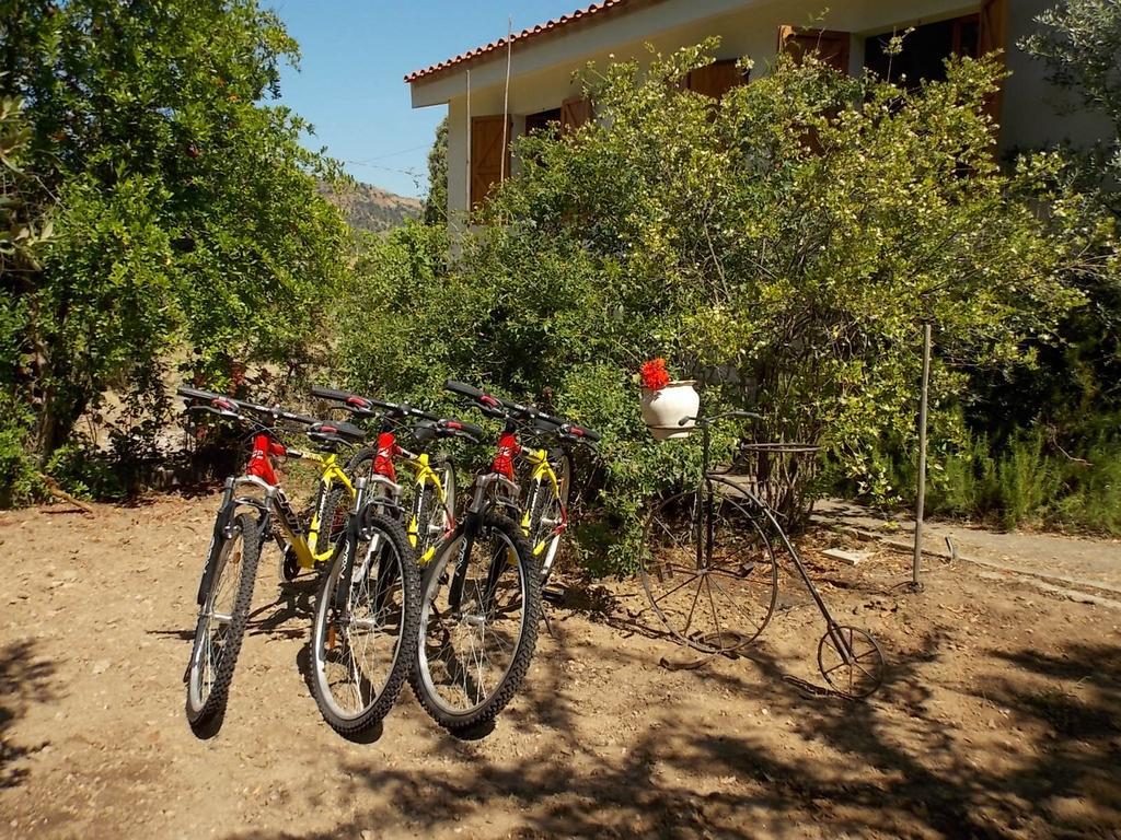 B&B Sette Fratelli San Gregorio  Buitenkant foto