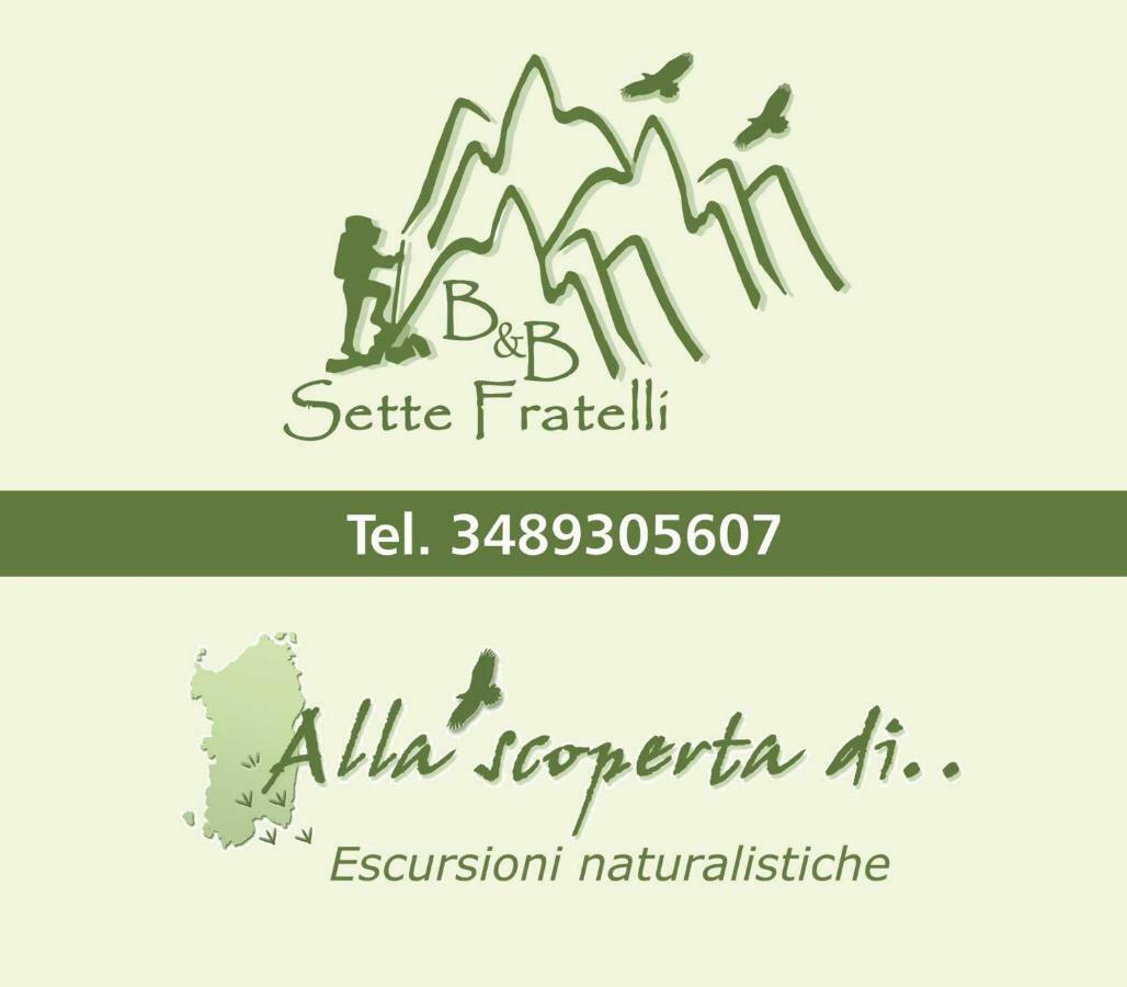 B&B Sette Fratelli San Gregorio  Buitenkant foto